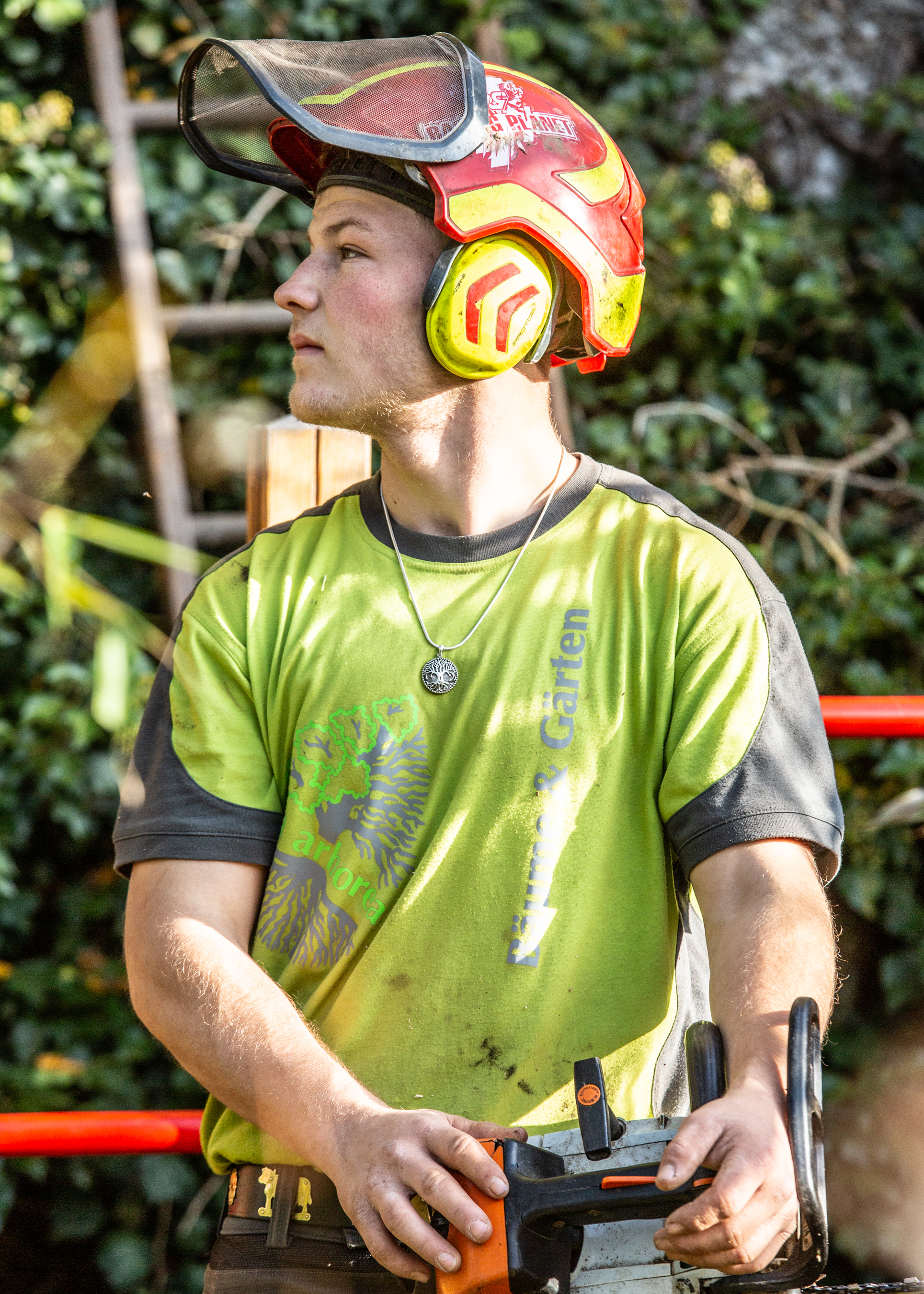 VITA ARBOREA, BAUMPFLEGE UND GARTENGESTALTUNG